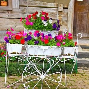 Meet your Posher, Marina